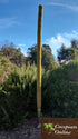 AussieSuperStore Homeware Supplies 6 feet Coco Poles for Creeper Plants (in 5 sizes) Coco Poles for Creeper Plants | Moss stick,Coir poles,Totem poles COPOCRPL6FT COPOCRPL6FT